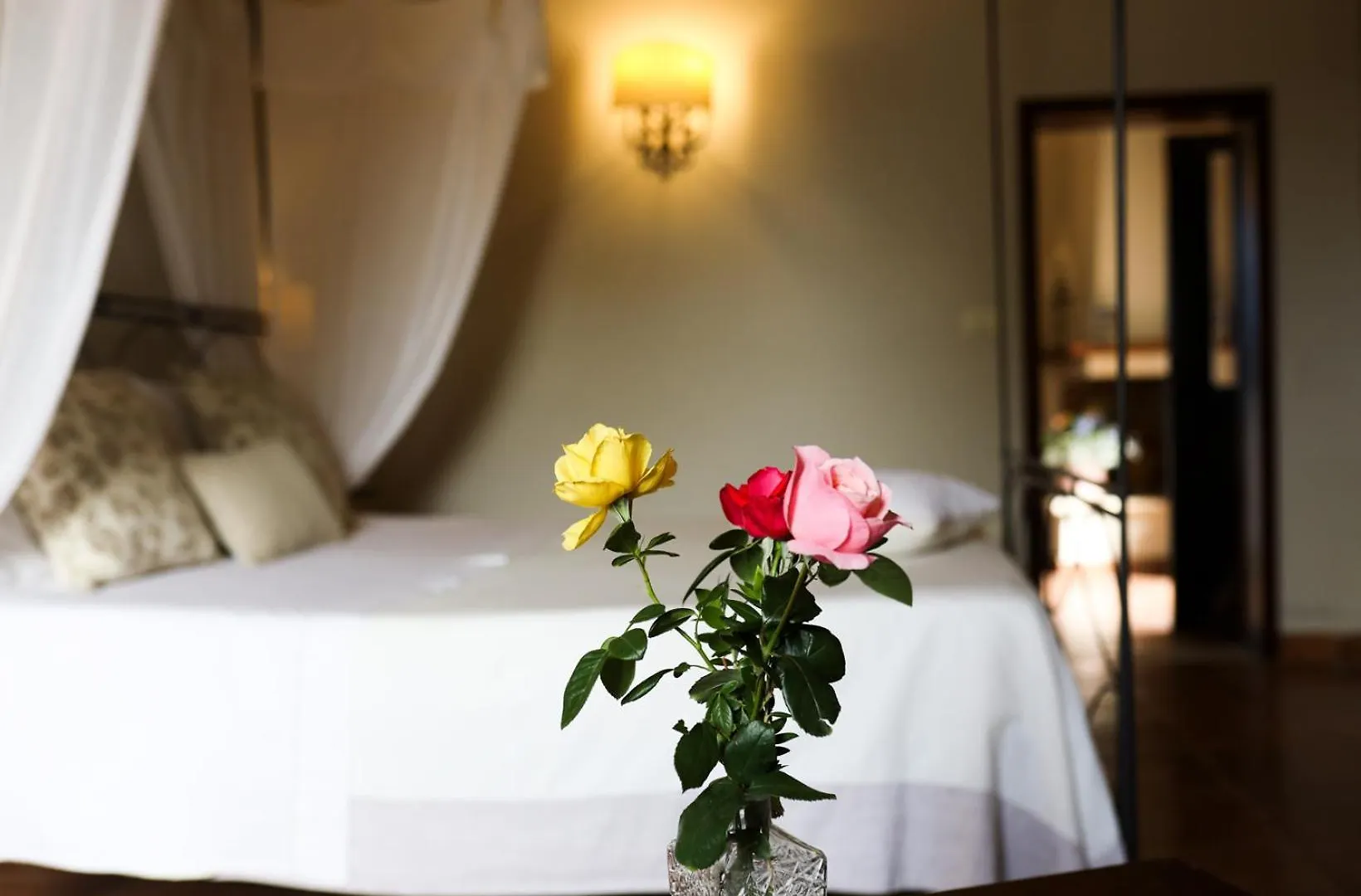 Tenuta Monacelli Lecce